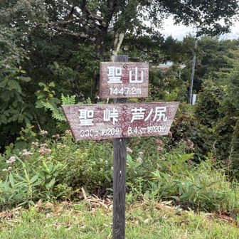 山頂着きました。
