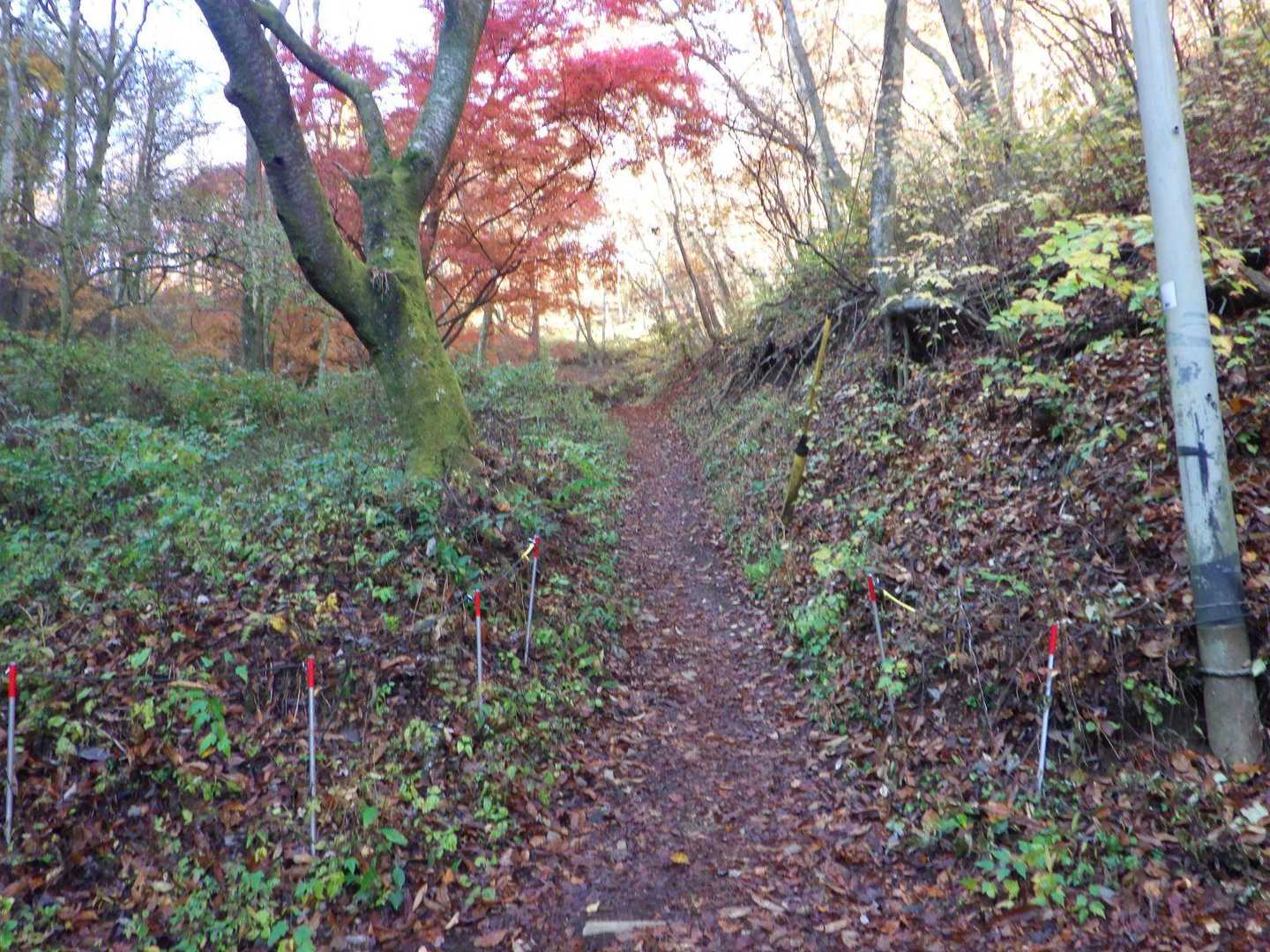 もうじき山頂です。