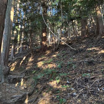 急だったという記憶しかなかったけど、間違いではなかった🤣