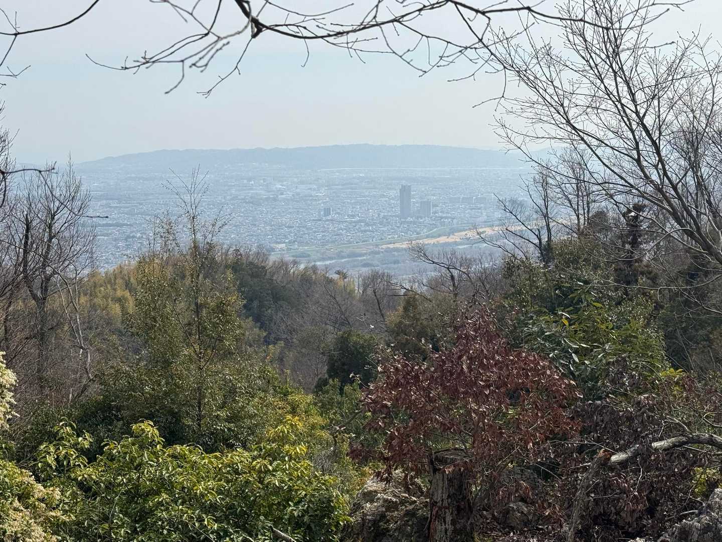 南東向き