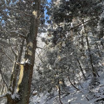 ええ天気、少しずつ雪増えてきたな❄️