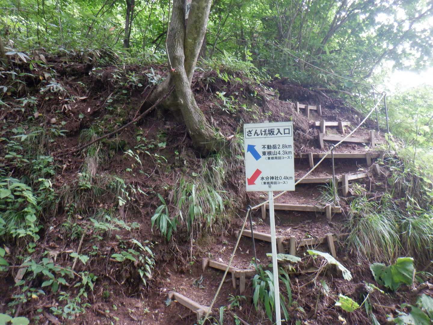 ざんげ坂はざんげしながら登ります😔