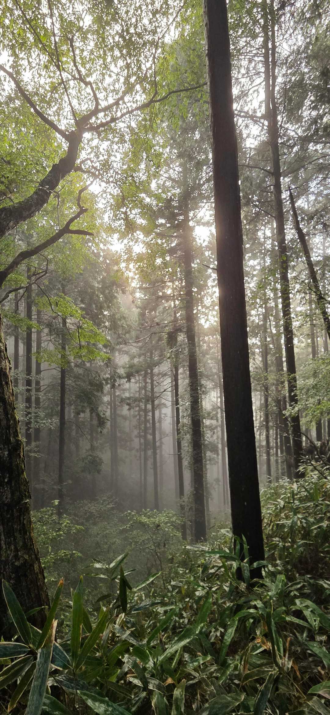 少しガスってますね〰️