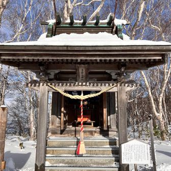 今年もどうぞよろしくお願いします⛩️
