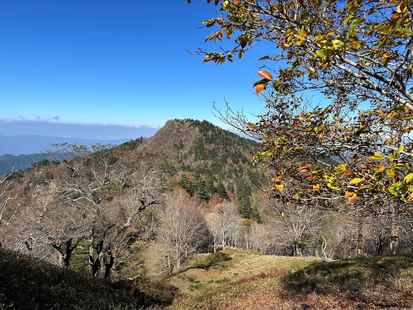 烏帽子山…バイバイ