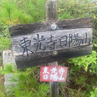 寄り道