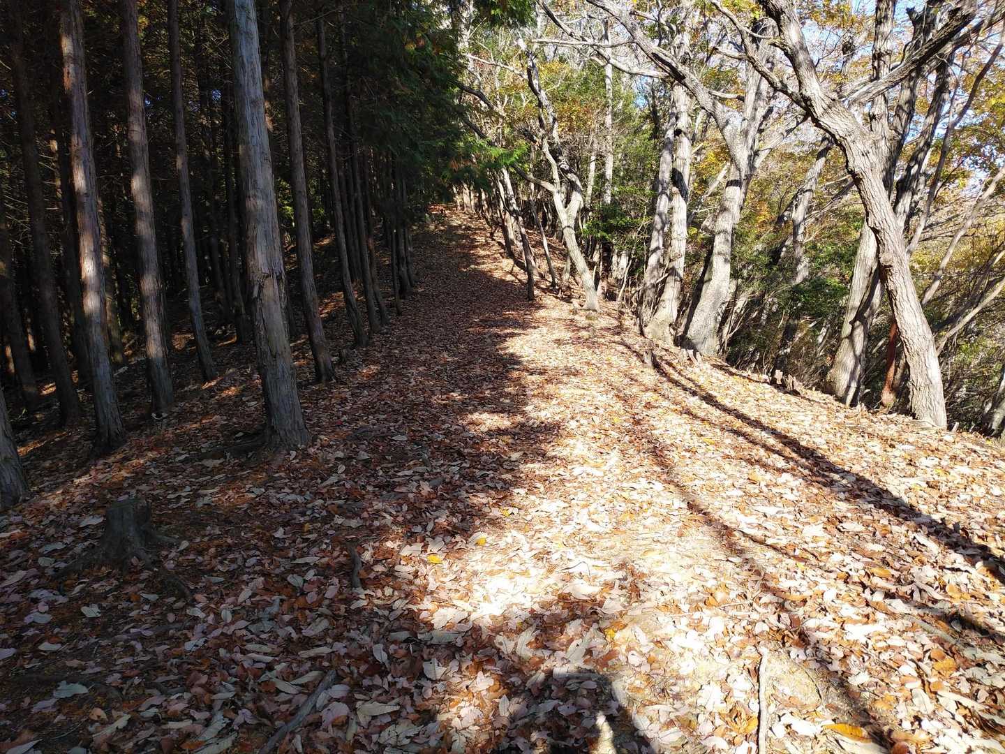 前に来たときは綺麗に掃除された道でしたが、落葉のこの時期は落ち葉🍂をサクサク踏みながらの歩きです。