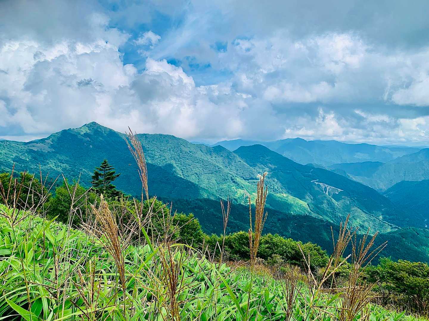 平家平とススキ🌾。
秋ですね😊。