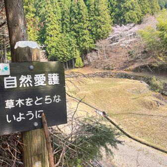 途中で拾った棒を杖代わりに。
助かりました。