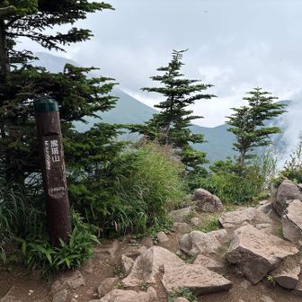黒斑山に着きました