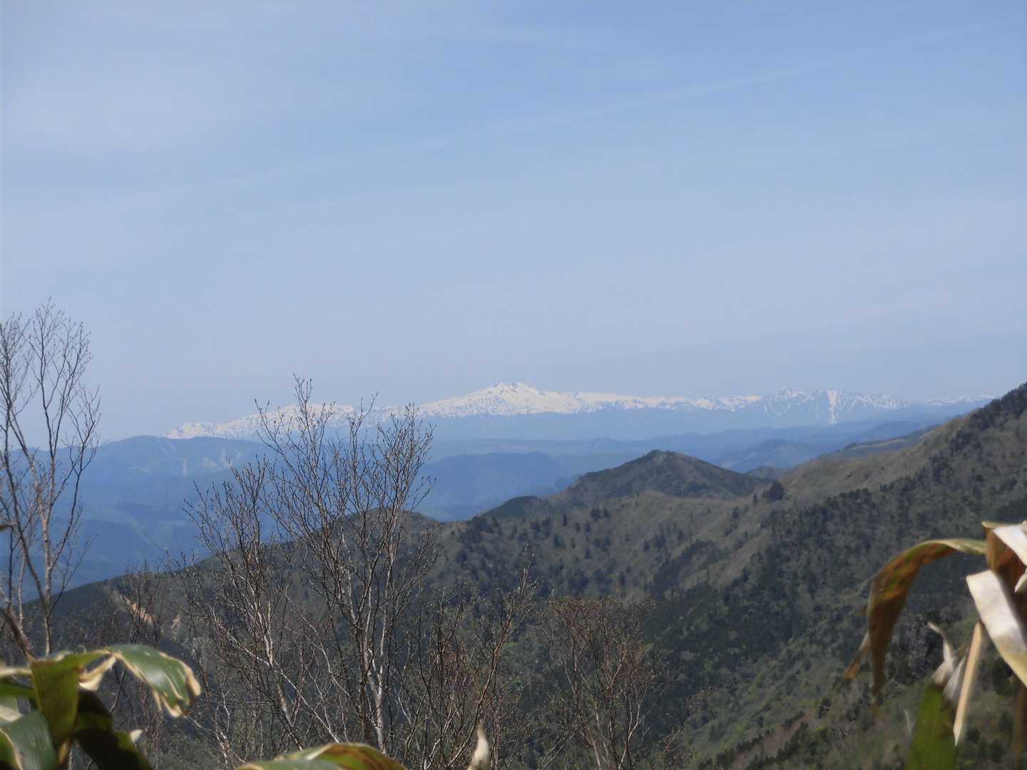 登り途中の白山
右手前は下呂御前山（空谷山）