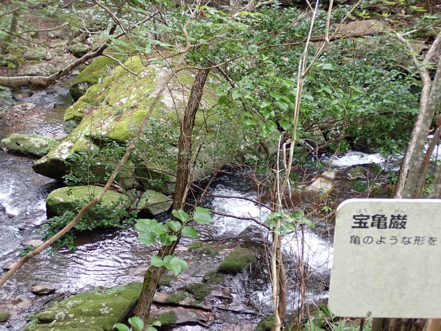 【るり渓】清らかな水の流れと岩や淵が織りなす豊かな景観の写真