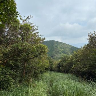 孫岳に行くか、迷う😅

でも、今日行かなかったら、ずっと行かないような気がして、歩き出す