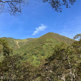振り返りペテガリ岳