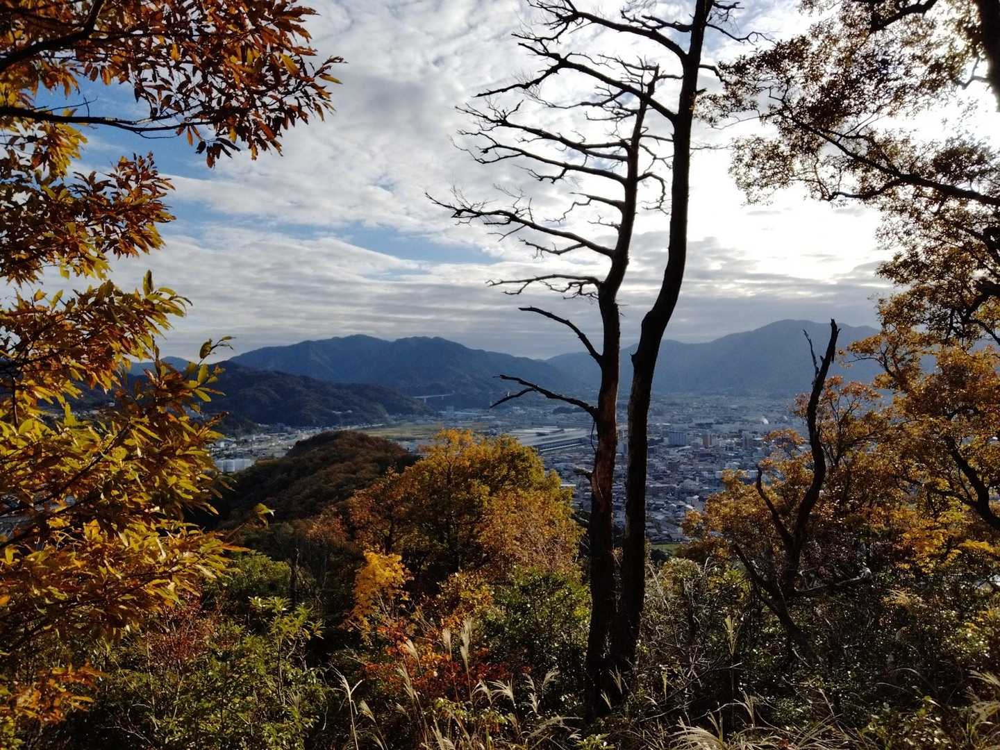 天筒山 周回コースの写真