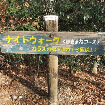 誰も居ないので３回カアーとやってみました。変化なしです