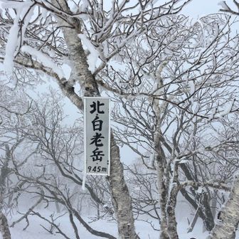 北白老岳ちゃく
去年、さっちさん、めーさんとここまで登ってきて、撤退だったので、今日はこの先へ💪