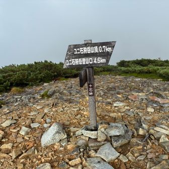十石峠着
びしょ濡れで、涼しい風に当たると寒いので着替えました
朝露対策で遅ればせながらレイン着用