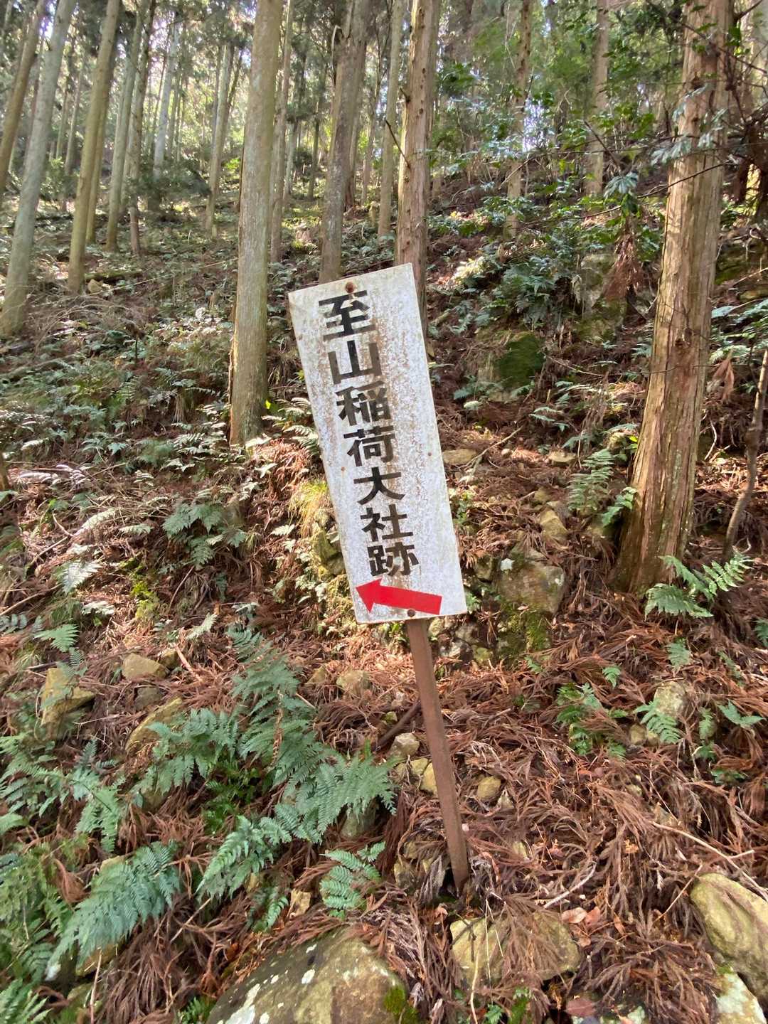 この付近に神社があったようだ😌
神社や祠がある山が多い。
何故なのか？…また調べてみようと思う😌