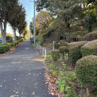 こちらが、よこやまのみちの入り口です。