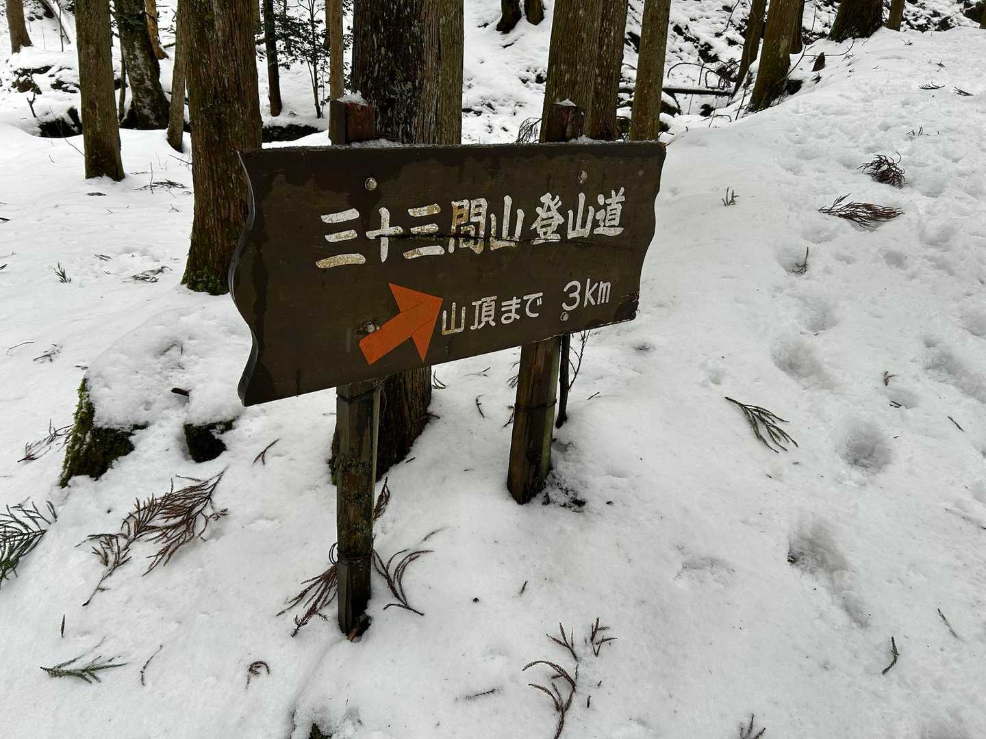倉見登山口-三十三間山 往復コースの写真