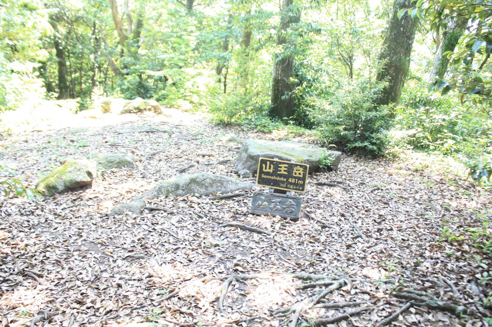 山王岳の写真
