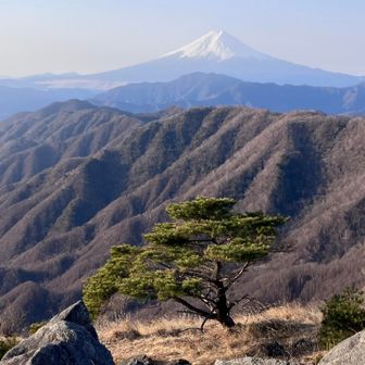 お友達同士でテント5張くらい
張られてました🏕️
山名板は見当たらなかった。　
松が富士山を一層引き立てる。
ここもビパーク適地✨
