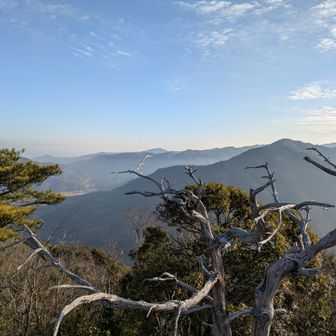 国見岩からの眺望