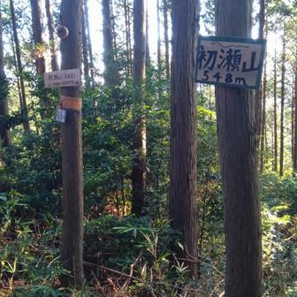 山名板