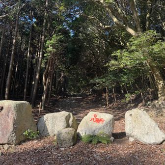 ここから歩くのはお初です
雪が積もったら歩きたいので下見