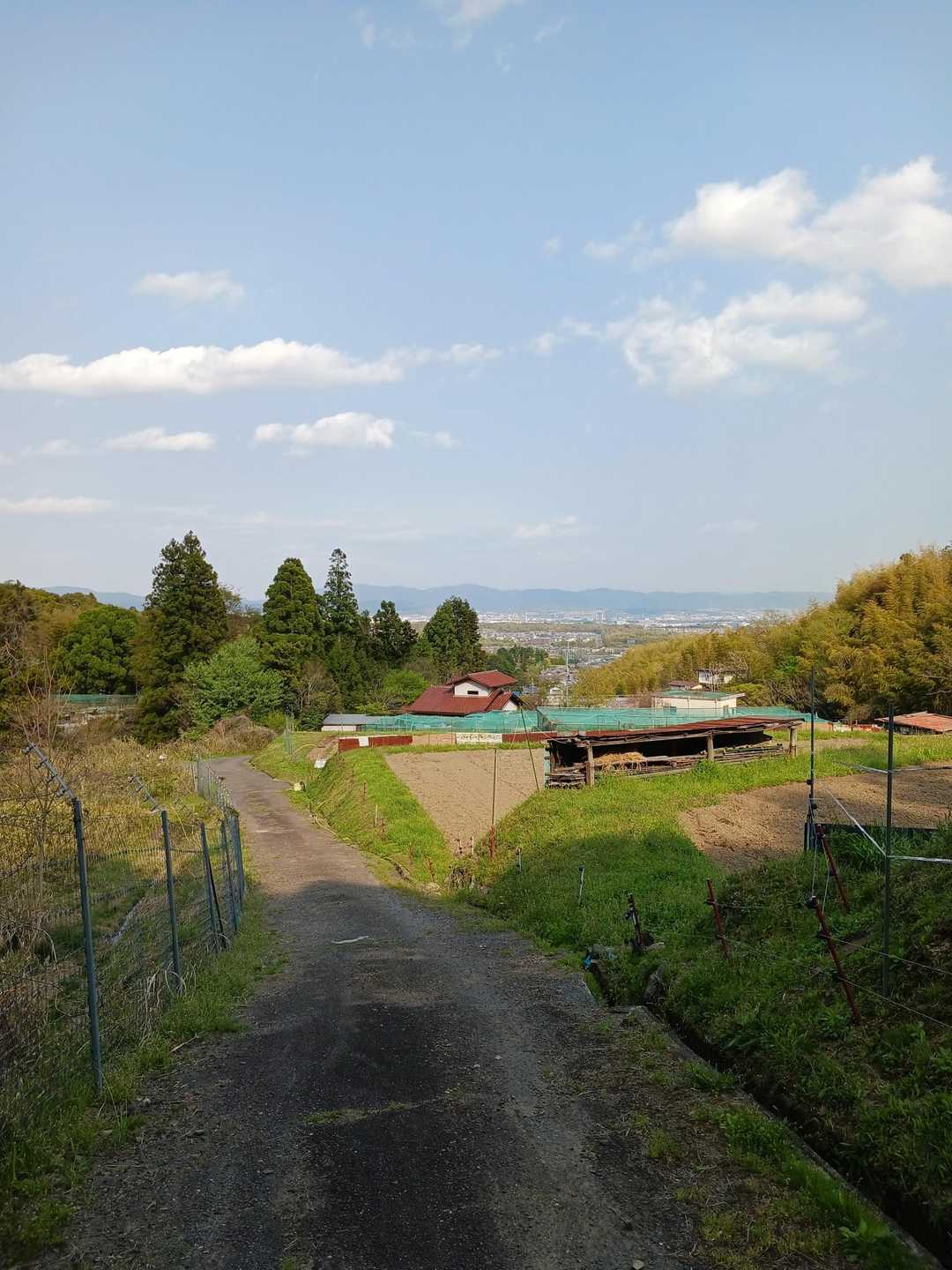 里山風景