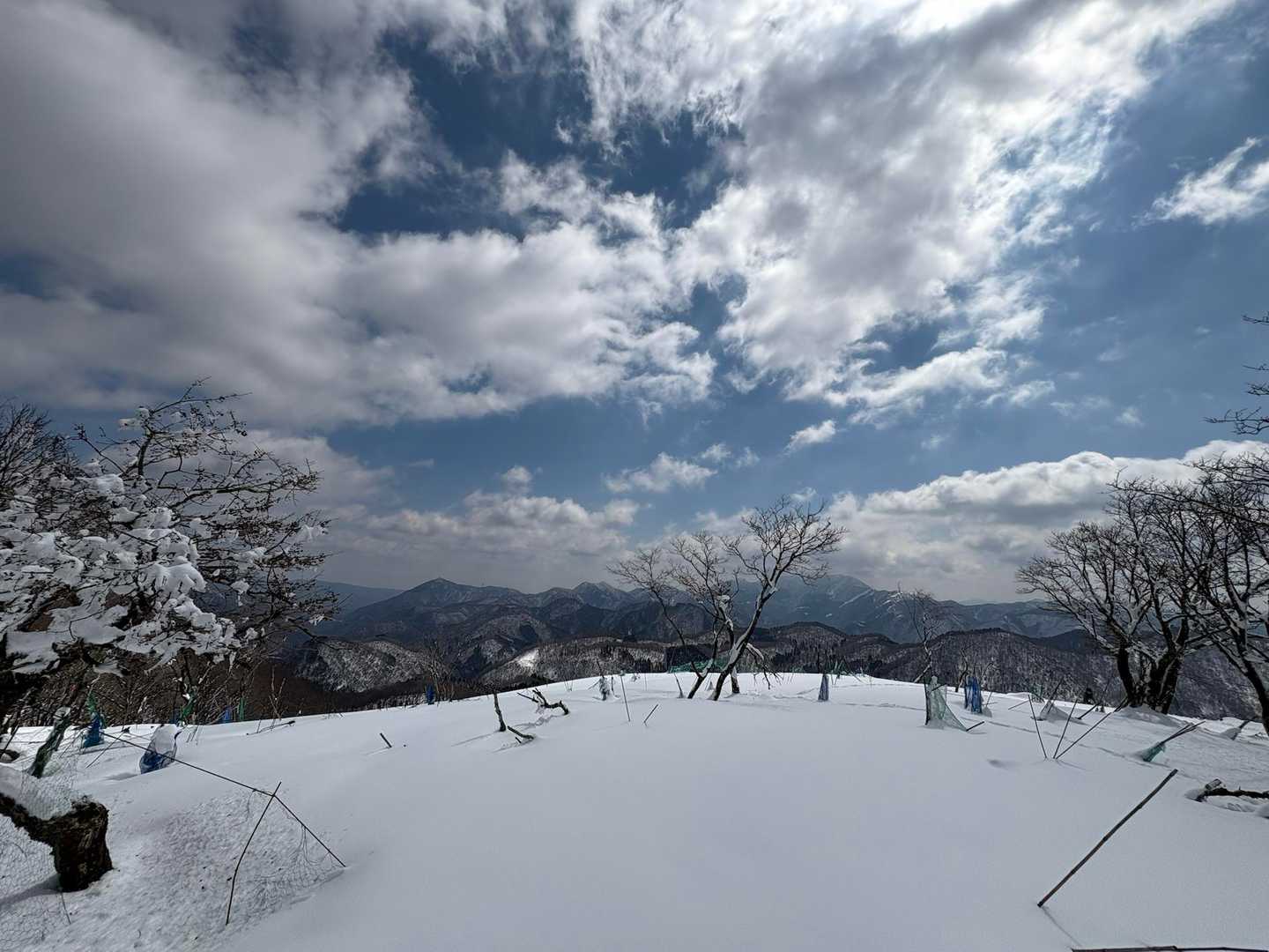 岳の畑-鍋尻山 往復コースの写真
