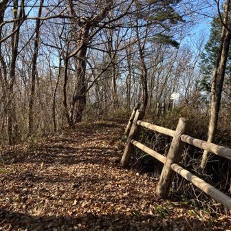 山家山まで行こうと思います