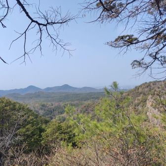 山頂は開けて眺望が良くて気持ち良い〜🤗