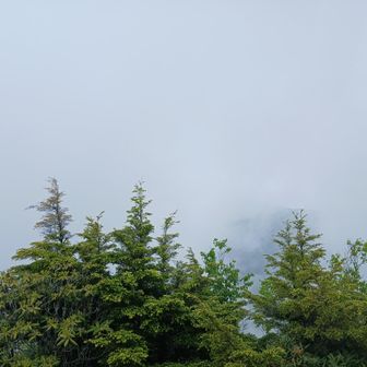 眺望、ちょっと残念
