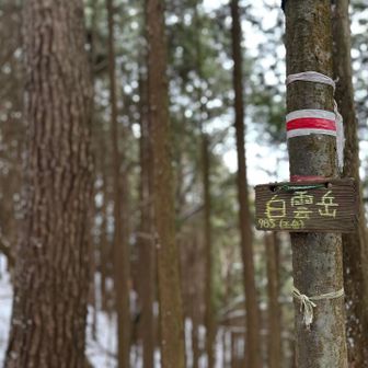 ▪︎白雲岳⛰️山頂▪︎

ダイトレコースの途中に🩶ピークが
あるとは‼︎😻👍✨