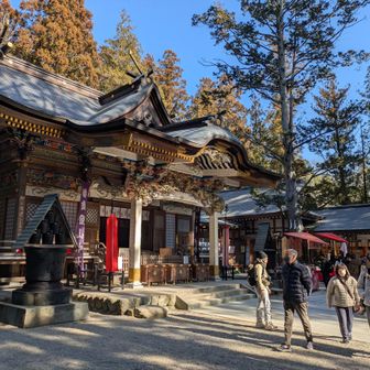 宝登山神社⛩️（遅い初詣）