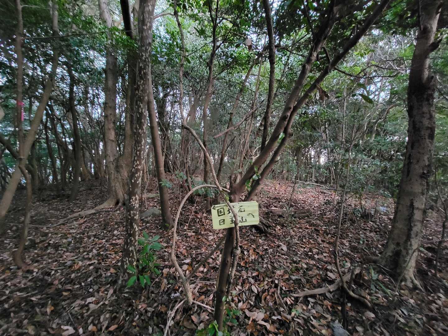 標識　赤テープありました