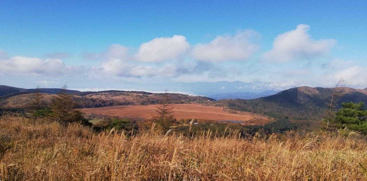 先程ぐるりと歩いた湿原、見えた😍