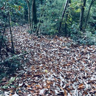 滑りやすくてスピード出せず。
そうでなくても下りは下手くそなのに。