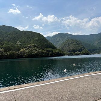 港へ帰還