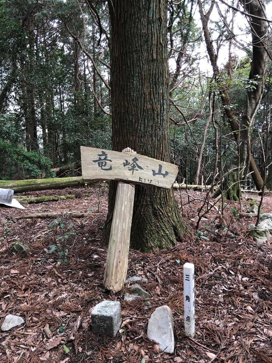 三角点ありここが本当の山頂だった？と３人で笑いました😆