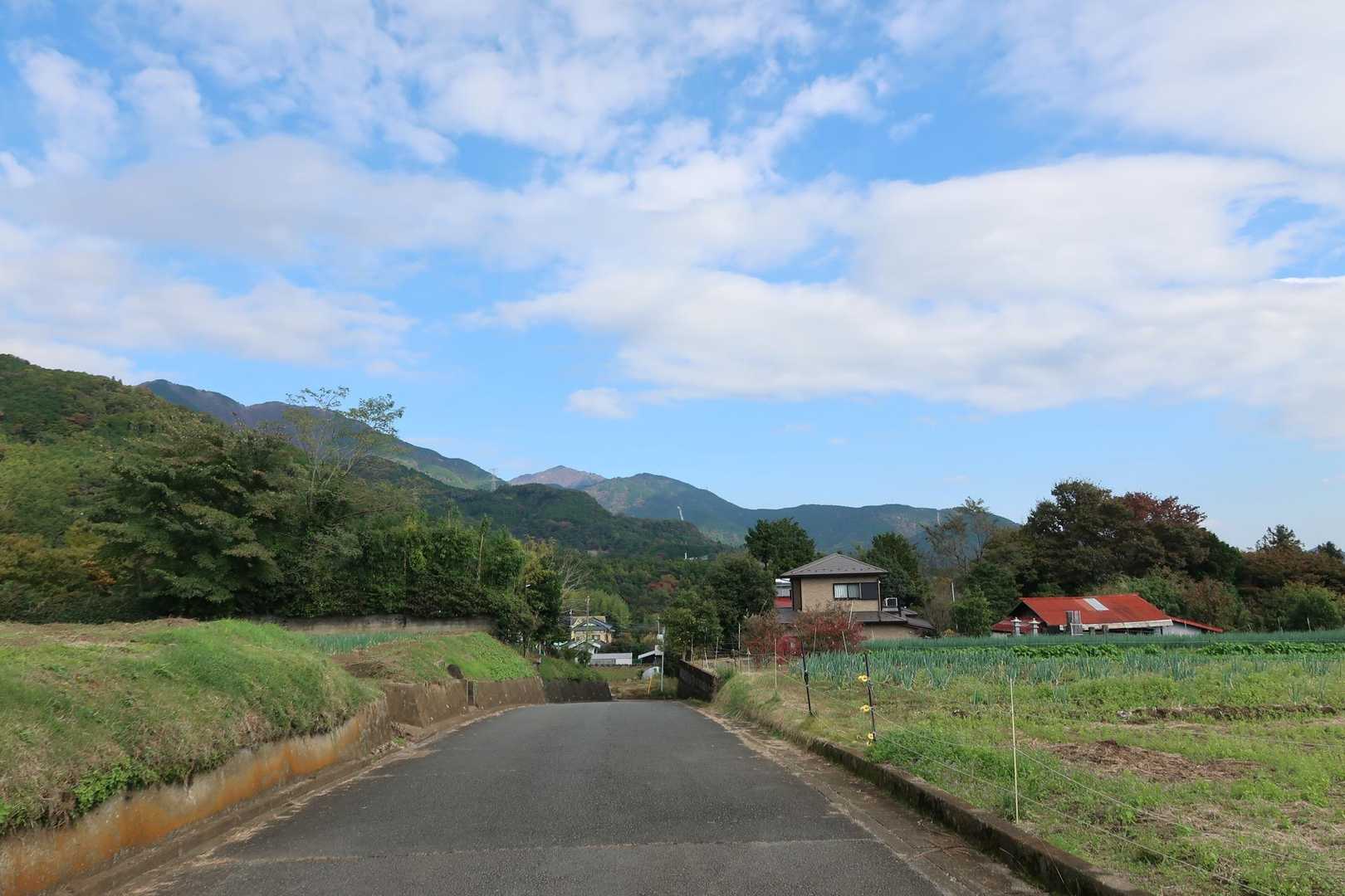 やーっと大倉まで下りてきました。目の前に大山！