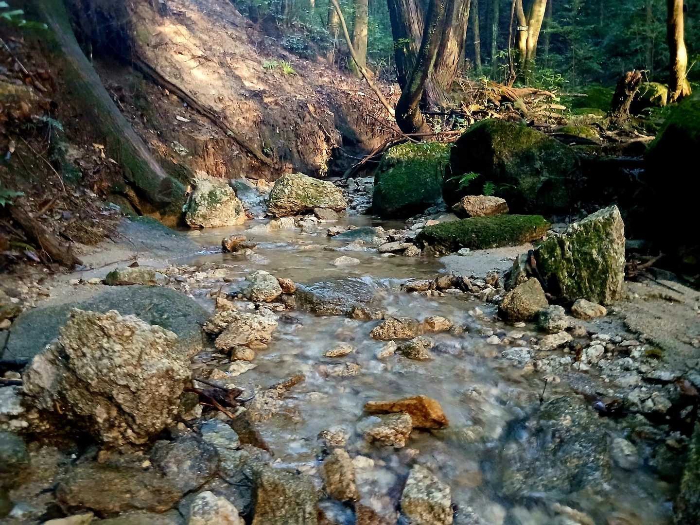 正現岳-金立山 往復コースの写真