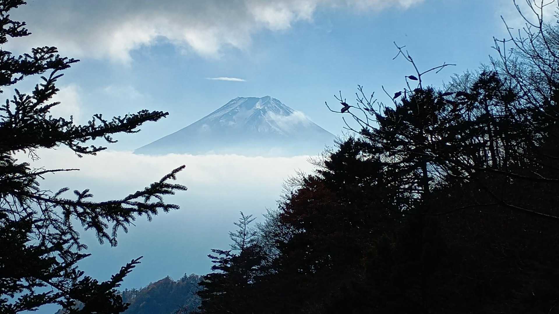 笹子駅-本社ヶ丸-清八山-御巣鷹山-三つ峠山-三つ峠駅 縦走コースの写真