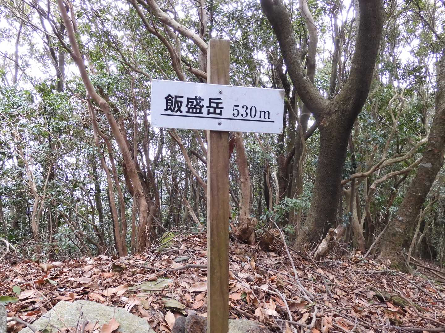 飯盛山（いいもりやま 530.7ｍ）山頂 
※眺望無し 
※標識は倒れていました。また倒れるでしょう