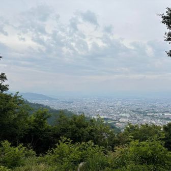どんより
家の方面を撮る
もしかしたら屋根みえてるのかも