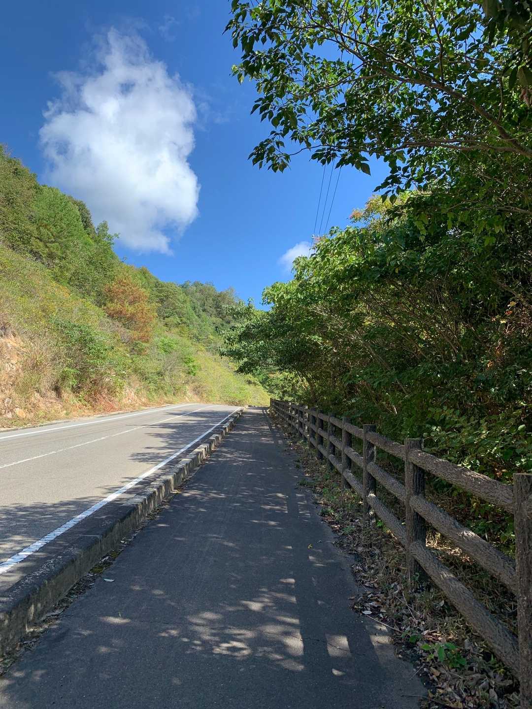 爽やかな秋晴れ🏞️