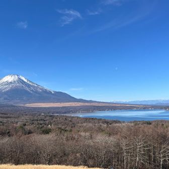 パノラマ台はインバウンドの人たちで混んでた
