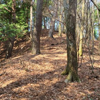 距離は短いんだけど。
何度かアップダウン。